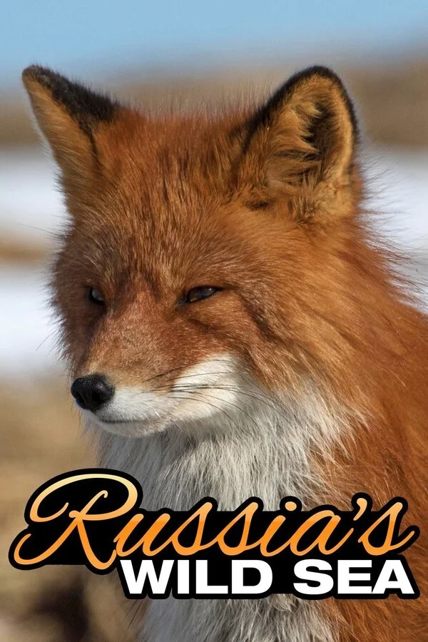 Дикое море России